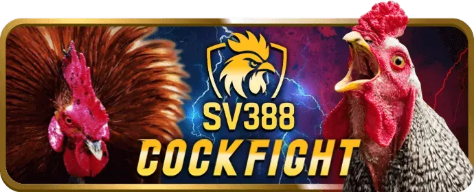 Bảo mật tài khoản Win55 Đăng Nhập
